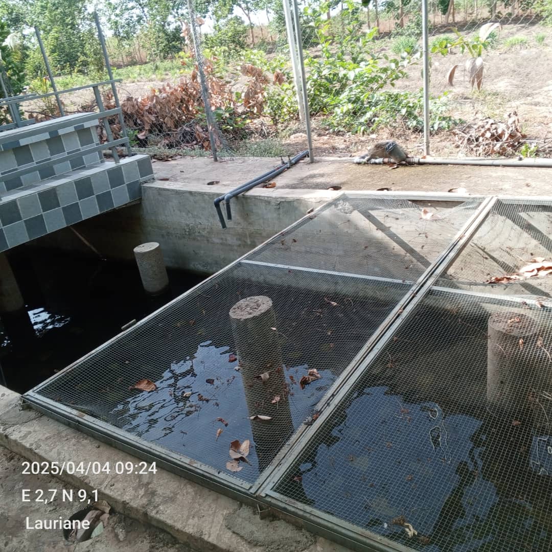 Album Poisson couverture